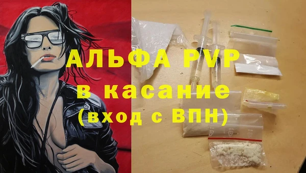 PSILOCYBIN Балахна